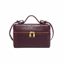 The Other Vanity Bag