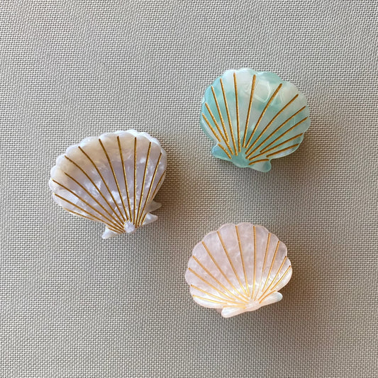 Shell Hair Clip